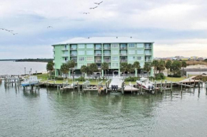 Navy Cove Harbor 2213 by Youngs Suncoast
